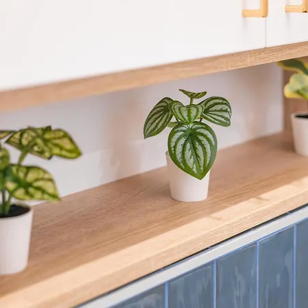 Kiraly K31 * بودابست